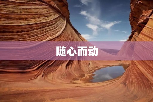 随心而动：探索内心的自由之旅