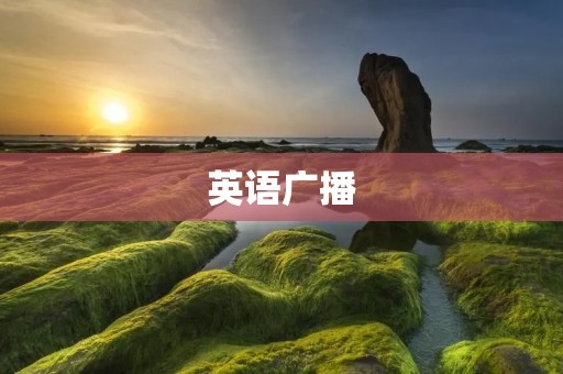 英语广播：打开全球视野的窗口