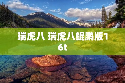 瑞虎八 瑞虎八鲲鹏版16t