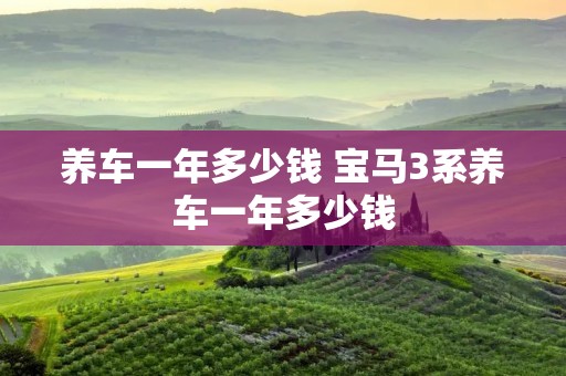 养车一年多少钱 宝马3系养车一年多少钱