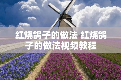 红烧鸽子的做法 红烧鸽子的做法视频教程