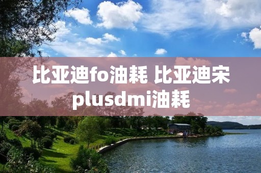 比亚迪fo油耗 比亚迪宋plusdmi油耗