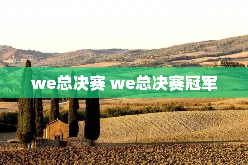 we总决赛 we总决赛冠军