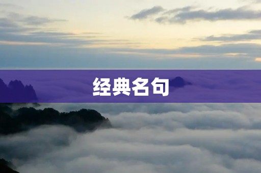 经典名句：花的诗句