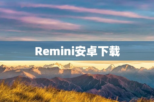 Remini安卓下载：一款高效的照片修复和增强应用