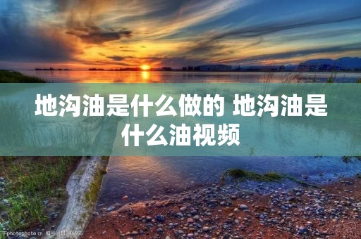 地沟油是什么做的 地沟油是什么油视频