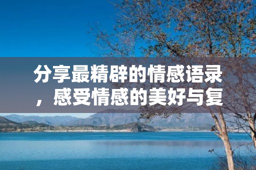 分享最精辟的情感语录，感受情感的美好与复杂