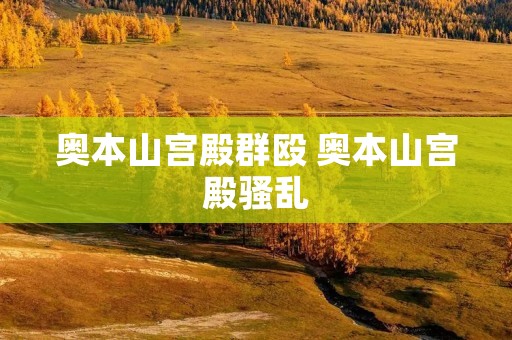 奥本山宫殿群殴 奥本山宫殿骚乱 奥本山宫殿群殴 奥本山宫殿骚乱