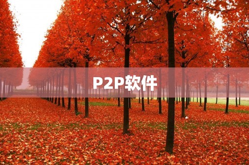 P2P软件:高效、安全的文件共享利器 P2P软件:高效、安全的文件共享利器