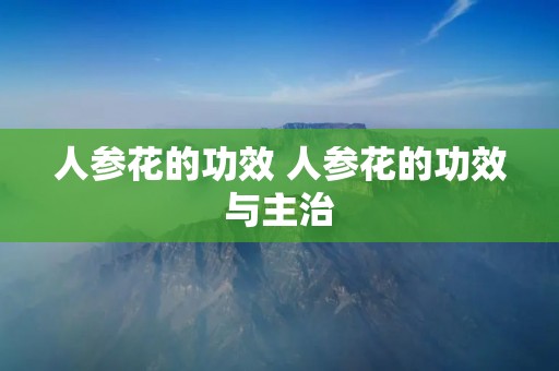 人参花的功效 人参花的功效与主治