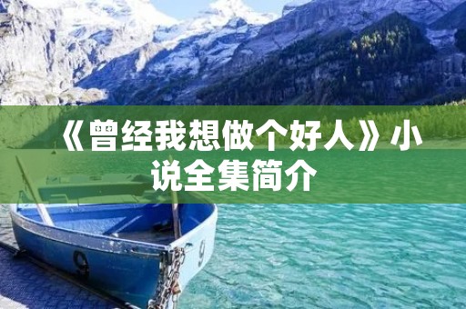 《曾经我想做个好人》小说全集简介