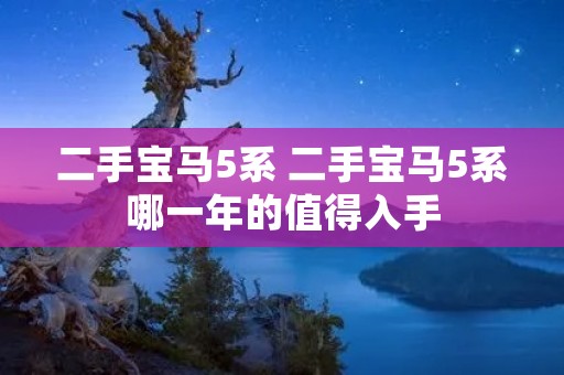二手宝马5系 二手宝马5系哪一年的值得入手 二手宝马5系 二手宝马5系哪一年的值得入手