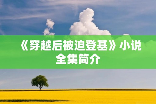 《穿越后被迫登基》小说全集简介