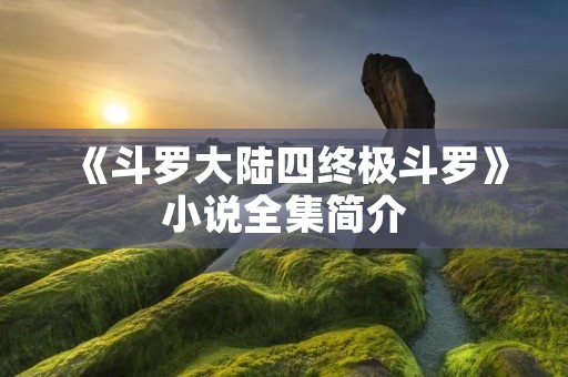 《斗罗大**终极斗罗》小说全集简介 《斗罗大**终极斗罗》小说全集简介