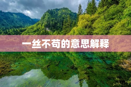 一丝不苟的意思解释：追求完美，注重细节的精神境界