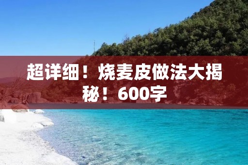 超详细!烧麦皮做法大揭秘!600字