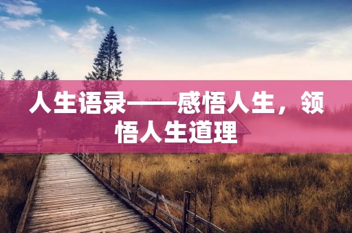 人生语录——感悟人生,领悟人生道理