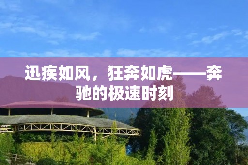 迅疾如风，狂奔如虎——奔驰的极速时刻