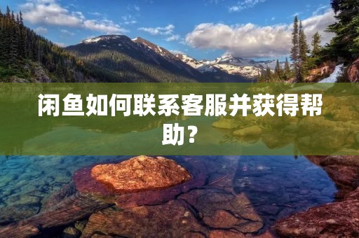 闲鱼如何联系客服并获得帮助？
