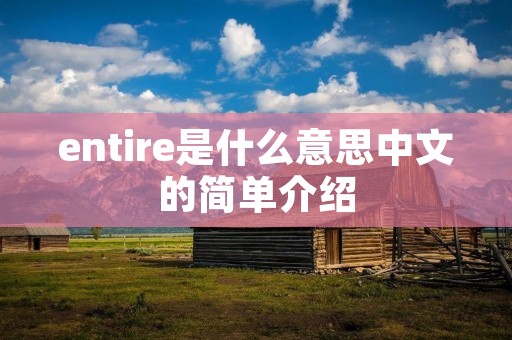 entire是什么意思中文的简单介绍 entire是什么意思中文的简单介绍