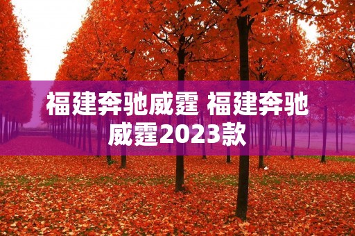 福建奔驰威霆 福建奔驰威霆2023款 福建奔驰威霆 福建奔驰威霆2023款