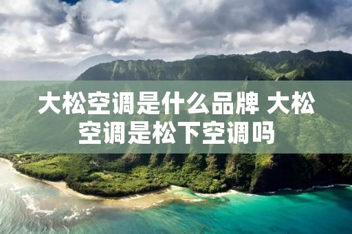 大松空调是什么品牌 大松空调是松下空调吗