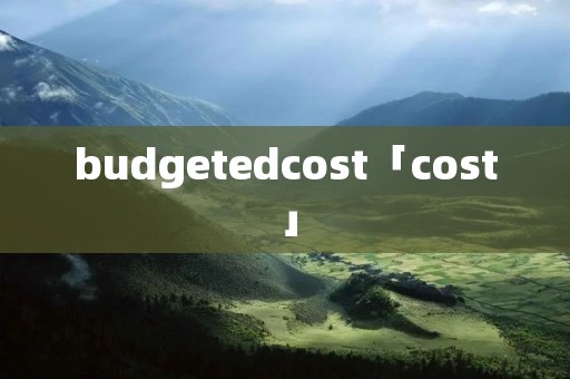 budgetedcost「cost」
