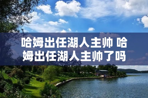 哈姆出任湖人主帅 哈姆出任湖人主帅了吗