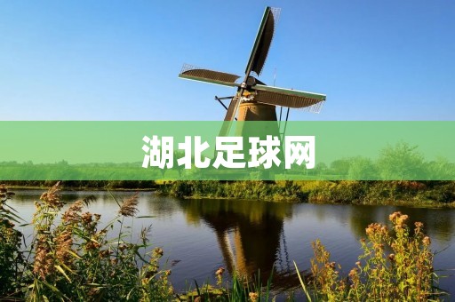湖北足球网：打造湖北足球文化的重要窗口