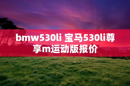 bmw530li 宝马530li尊享m运动版报价