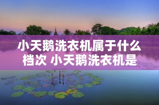 小天鹅洗衣机属于什么档次 小天鹅洗衣机是什么牌子 小天鹅洗衣机属于什么档次 小天鹅洗衣机是什么牌子