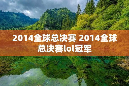 2014全球总决赛 2014全球总决赛lol冠军