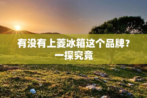 有没有上菱冰箱这个品牌?一探究竟 有没有上菱冰箱这个品牌?一探究竟