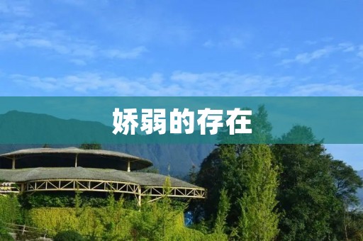 娇弱的存在:关于脆弱的思考