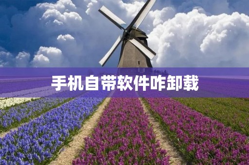 手机自带软件咋卸载：详细教程