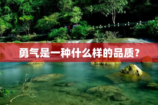 勇气是一种什么样的品质? 勇气是一种什么样的品质?