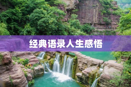 经典语录人生感悟：探寻生命的意义和价值