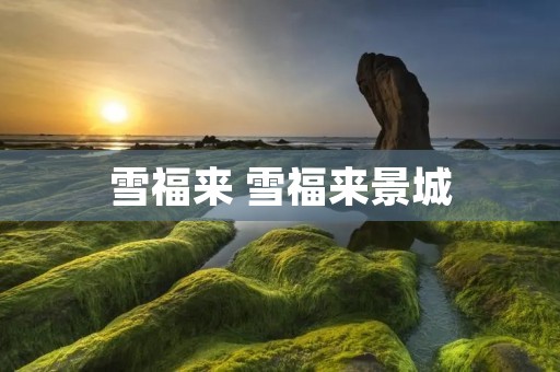 雪福来 雪福来景城