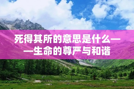 死得其所的意思是什么——生命的尊严与和谐