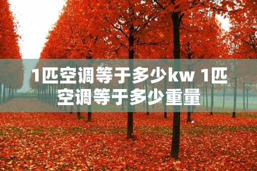1匹空调等于多少kw 1匹空调等于多少重量 1匹空调等于多少kw 1匹空调等于多少重量
