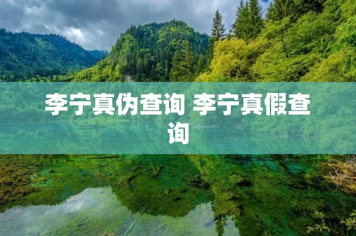 李宁真伪查询 李宁真假查询