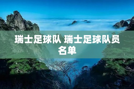瑞士足球队 瑞士足球队员名单 瑞士足球队 瑞士足球队员名单