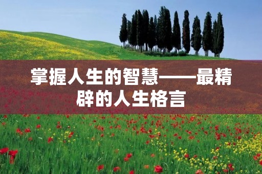 掌握人生的智慧——最精辟的人生格言 掌握人生的智慧——最精辟的人生格言