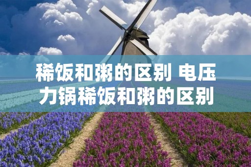 稀饭和粥的区别 电压力锅稀饭和粥的区别