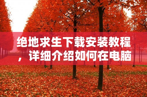 绝地求生下载安装教程，详细介绍如何在电脑上下载安装绝地求生游戏