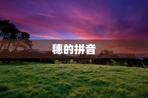 穗的拼音:suì的中文长标题 穗的拼音:suì的中文长标题