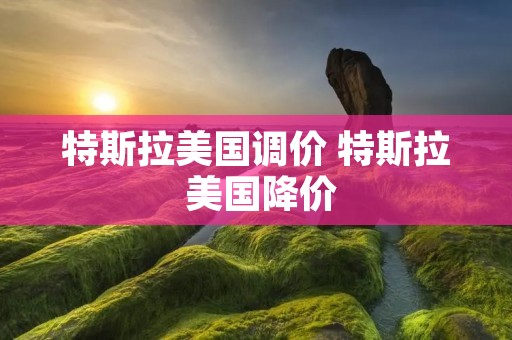 特斯拉美国调价 特斯拉 美国降价