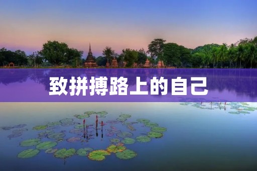致拼搏路上的自己：坚持不懈，勇往直前