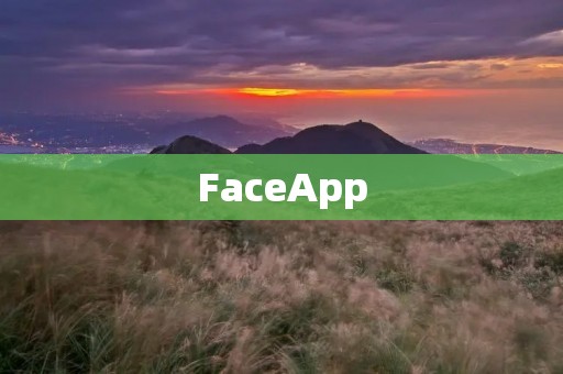 FaceApp：一个令人惊叹的人脸编辑应用