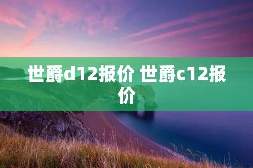 世爵d12报价 世爵c12报价